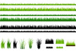 Grass collection, Isolated On White Grass collection, Isolated On White