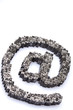 Internet symbol
