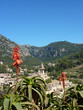 Valldemossa Valldemossa