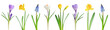 Spring flowers in a row