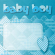 new born boy baby shower