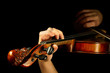 Musician playing violin isolated on black. Musician playing violin isolated on black.