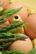 Készítsünk omlett spárgával Acutifolius