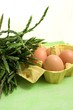 Prepare an omelet with Asparagus Acutifolius Prepare an omelet with Asparagus Acutifolius