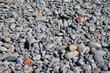 Gray pebbles