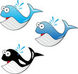 Three Whale Vectors Three Whale Vectors