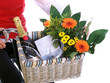bicycle gourmet tour