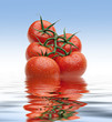 Pomodori freschi