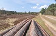 Holzwirtschaft