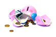Piggy bank