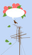 Bird on ­­Wire