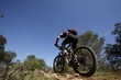 vtt