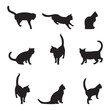 Cat Silhouettes