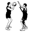 basket, illustration
