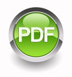 ''PDF'' glossy icon