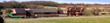 farm