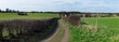 farm