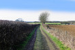 farm