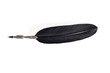 Photo: Isolated quill pen Isolated quill pen
