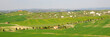 Crete Senesi, Asciano
