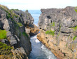 Pancake Rocks at Punakaiki, West Coast of South Island, New Zeal