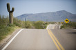 Desert Road