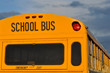 Back of School Bus