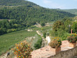 terrace with the view on vineyards in Tuscany