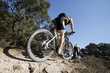 vtt