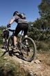 vtt