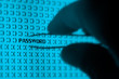 Photo: Online Security Online Security