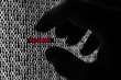 Photo: Computer Password Security Computer Password Security