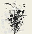 Floral design with freesia and orchids Floral design with freesia and orchids
