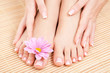 care for beautiful woman legs