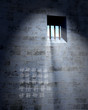 jailhouse cell door