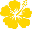 Hawaiiblume gelb