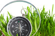 compass in green grass. compass in green grass.