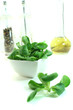 Feldsalat