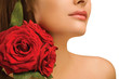 Female shoulder and roses Female shoulder and roses