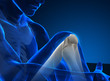 Human knee bones in x-ray view Human knee bones in x-ray view