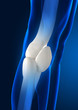 Focused on human knee bones Focused on human knee bones