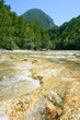 Beautiful golden  water of river Rakitnica