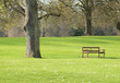 bench in a park