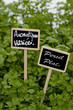 persil plat