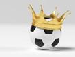 Il campione
