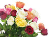 Bouquet of roses Bouquet of roses