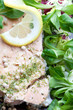 Salmon dish with salad
