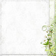 white background with cherry tree flowers white background with cherry tree flowers
