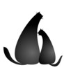 Two cats
