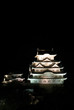 世界遺産の国宝姫路城の連立式天守の夜景